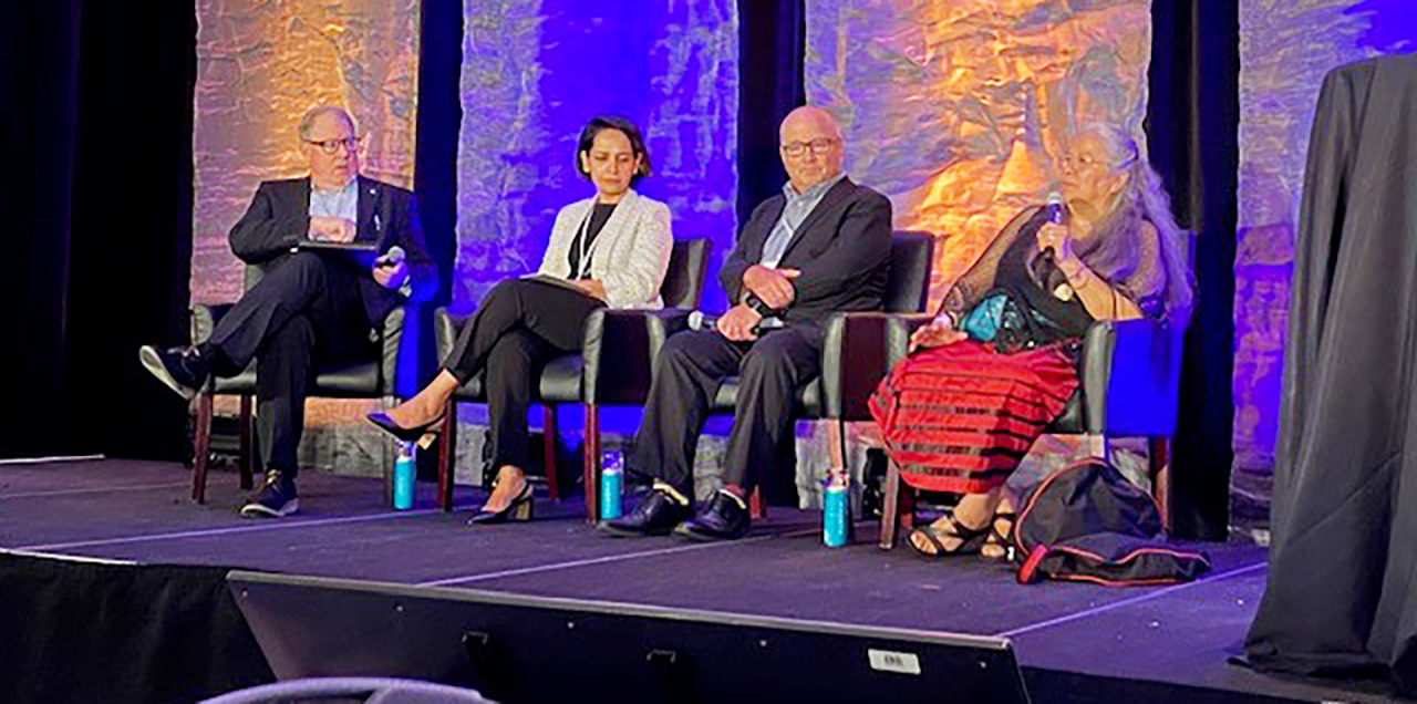 Panel speakers